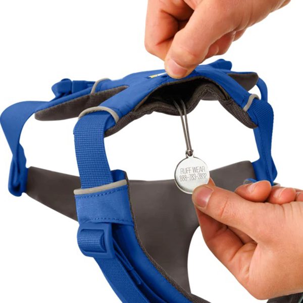 Ruffwear Front Range Harness - Blue Pool - Image 5
