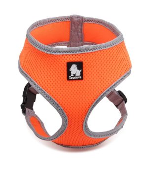 True Love Harnesses for Cats and Small Dogs