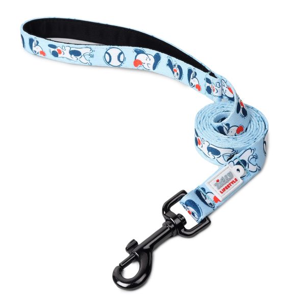 ZL Doodle Dog Collar & Leash Set - Blue - Image 2