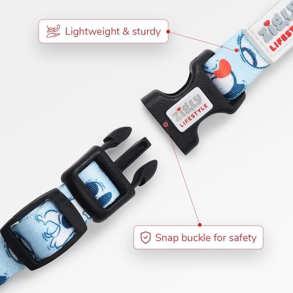 ZL Doodle Dog Collar & Leash Set - Blue - Image 4