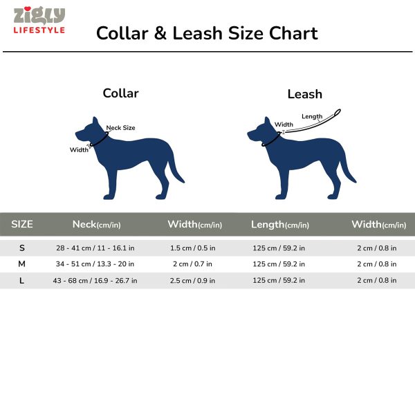 ZL Doodle Dog Collar & Leash Set - Blue - Image 6
